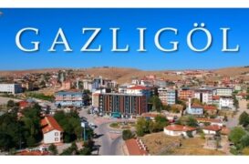 AFYON GAZLIGÖL KAPLICALARINDA SATILIK DEVREMÜLK